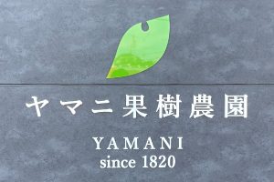 DL 樹脂切文字看板/表札の納入事例